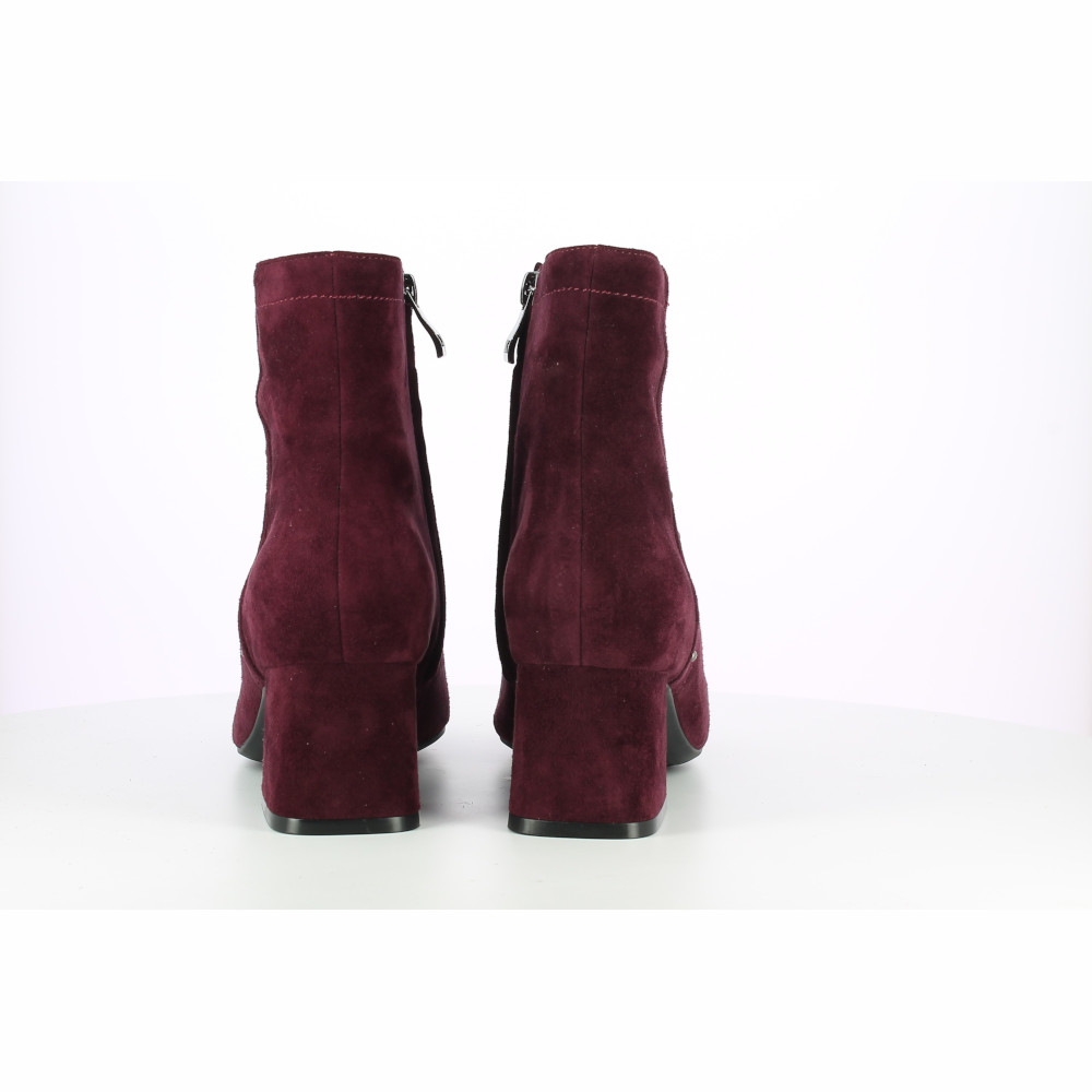 BIRGIT-CAMOSCIO - immagine 3