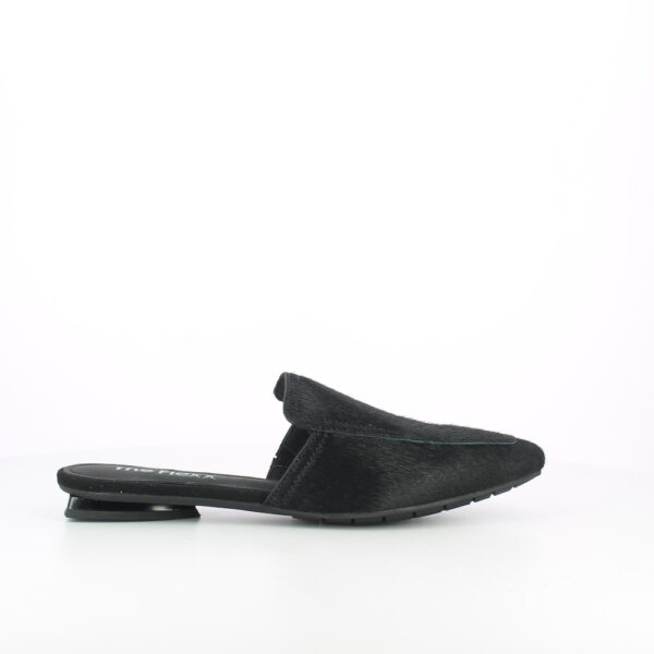 GIUDITTA-CAVALLINO - immagine 3