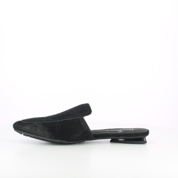 GIUDITTA-CAVALLINO - immagine 5