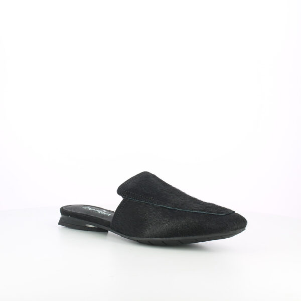 GIUDITTA-CAVALLINO - immagine 6