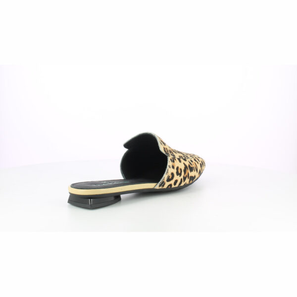 GIUDITTA-CAVALLINO-LEOPARDO - immagine 4