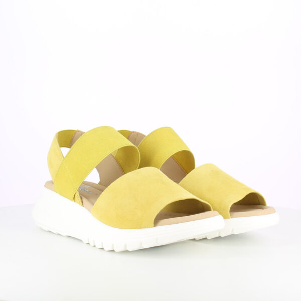 TUANA-CAMOSCIO-GIALLO