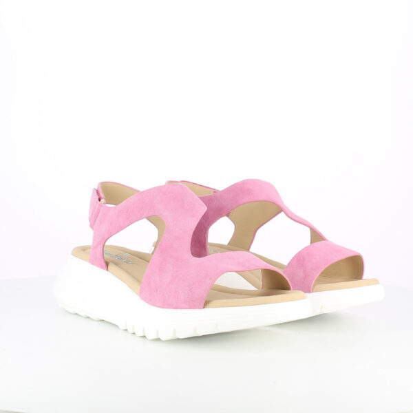 TRIXY-CAMOSCIO-FUXIA