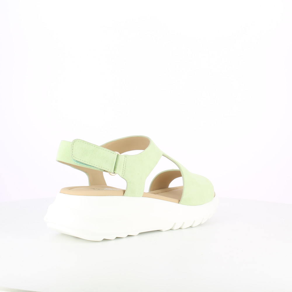 TRIXY-CAMOSCIO-LIME - immagine 4