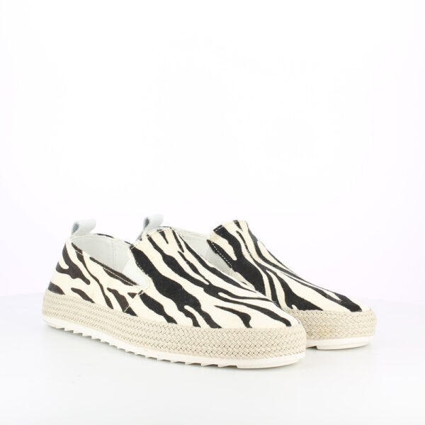 GIPPY-CAVALLINO-ZEBRA