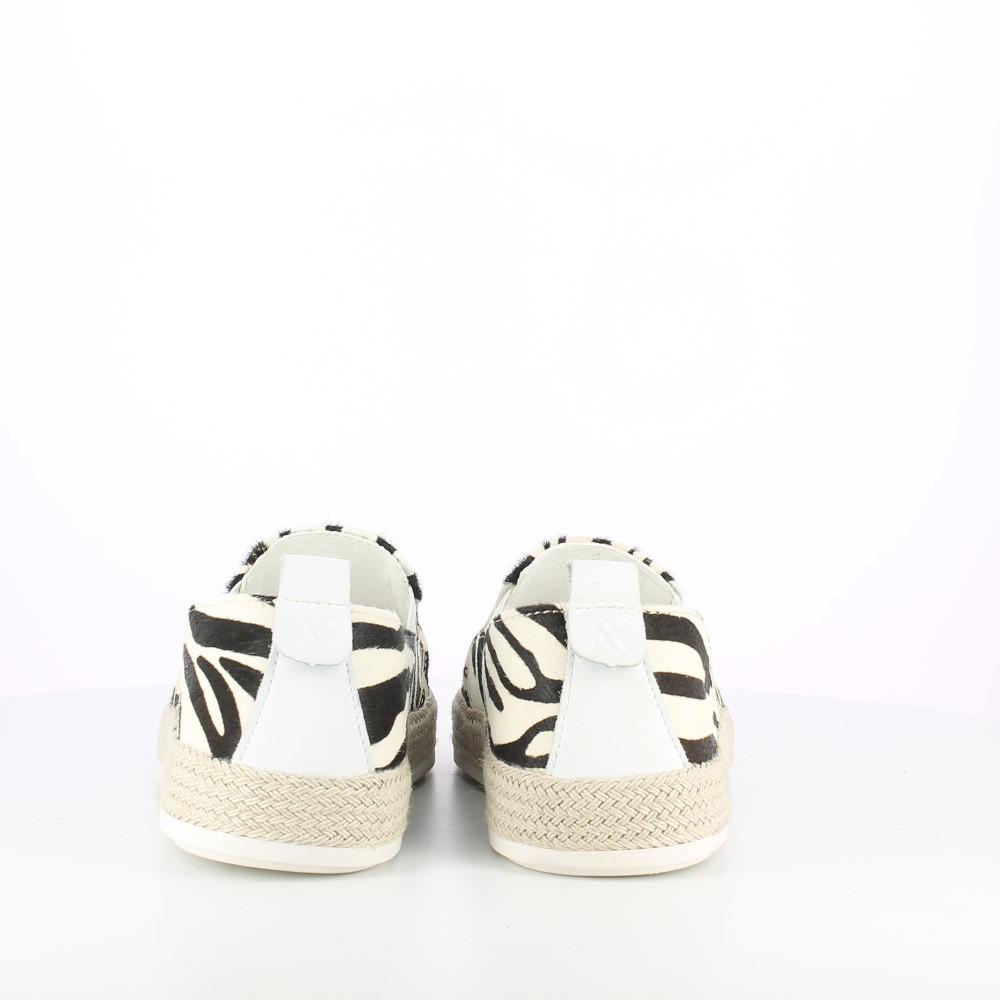 GIPPY-CAVALLINO-ZEBRA - immagine 3